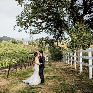 A couple in formal attire shares a romantic kiss amid lush vineyards and rolling hills, framed by trees and a white fence.