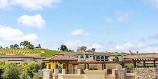 A scenic view of a luxurious estate nestled among lush vineyards under a clear blue sky, showcasing elegant architecture and greenery.