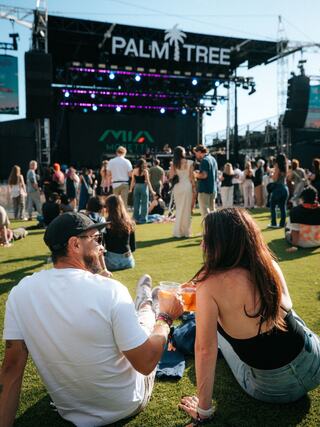 A couple sits on the grass at a lively outdoor festival, enjoying drinks and watching a performance on stage amidst a vibrant crowd.