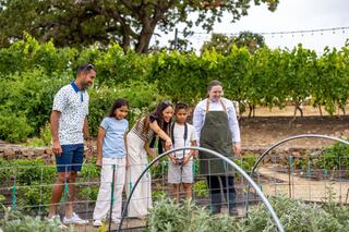 A group of four people and a child explore a garden, observing plants and enjoying the outdoor setting with greenery in the background.