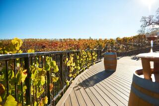 A scenic vineyard features vibrant autumn leaves, lined with wooden barrels and a glass of wine on a sunlit deck.