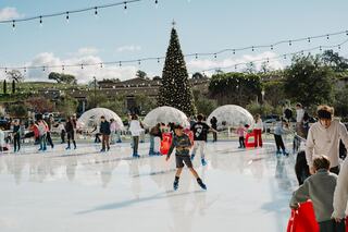 A festive ice skating rink filled with people, decorated with a Christmas tree and fairy lights, creating a joyful seasonal atmosphere.