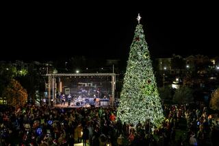 A vibrant holiday celebration features a large, decorated Christmas tree and a live band performing to an enthusiastic crowd at night.