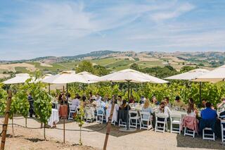 A picturesque vineyard setting hosts a lively outdoor gathering under umbrellas, surrounded by rolling hills and vibrant grapevines.
