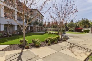 A landscaped courtyard features green grass, neatly trimmed shrubs, blossoming trees, and a paved walkway near a modern hotel building.
