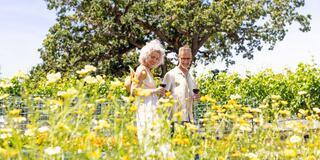 A couple strolls through a sunny vineyard, surrounded by vibrant wildflowers, enjoying each other's company and holding glasses of wine.