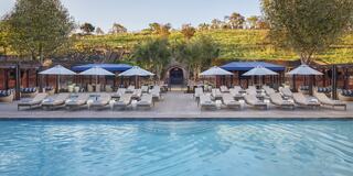 A serene pool scene features lounge chairs with umbrellas, surrounded by lush greenery and a backdrop of a gently sloping vineyard.