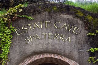 A rustic stone archway features the words "ESTATE CAVE SPA TERRA," surrounded by green ivy and a natural hillside backdrop.