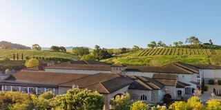 A tranquil vineyard landscape featuring rolling hills, lush greenery, and a rustic building, under a clear blue sky.