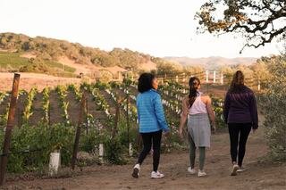 Three friends stroll through a vineyard, surrounded by lush grapevines and scenic hills, enjoying a peaceful moment together.