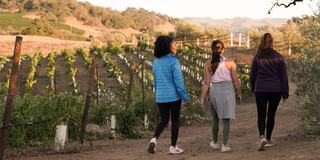 Three women stroll along a vineyard path, surrounded by lush greenery and rolling hills, enjoying a serene outdoor experience.