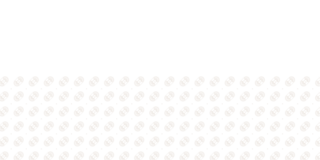 A pattern of light-colored oval shapes arranged in neat horizontal rows against a dark background, creating a textured design.