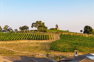 A lush vineyard stretches over rolling hills, with a statue atop a grassy knoll, framed by trees under a clear sky.