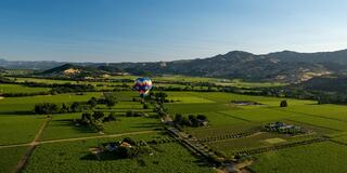 A colorful hot air balloon floats over lush green vineyards and rolling hills under a clear blue sky, showcasing a picturesque landscape.