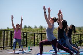 A group of women practices yoga outdoors, stretching and reaching upward on mats, surrounded by a scenic vineyard under clear skies.