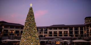 A beautifully decorated Christmas tree with a glowing star stands in front of an elegant hotel, under a serene twilight sky.