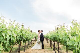 A couple in wedding attire shares a tender kiss among lush vineyard rows under a bright sky, surrounded by green vines.