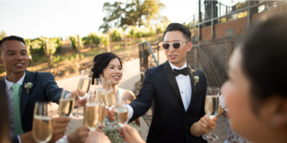 A group celebrates with champagne in a vineyard, featuring joyous expressions and formal attire, capturing the essence of a wedding toast.