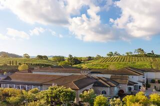 Rolling vineyards ascend a lush hill, dotted with trees. Sun loungers with umbrellas sit by a pool, creating a serene, inviting atmosphere.