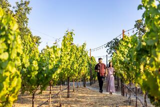 A couple strolls hand-in-hand through a sunlit vineyard, surrounded by lush green vines and charming rustic decor.