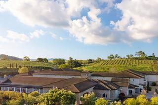 A serene landscape featuring rolling hills, grapevines, and a charming building, all under a bright blue sky with fluffy clouds.