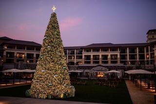 A beautifully decorated Christmas tree with a star atop stands majestically in a courtyard, framed by an elegant building at dusk.