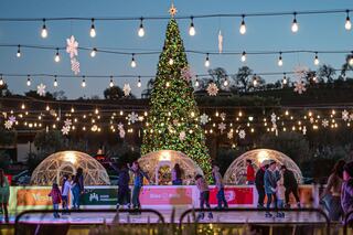 A festive ice rink features holiday lights, a towering tree, and cozy igloos, bustling with families enjoying a winter celebration.