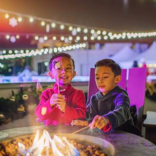 Two boys joyfully roast marshmallows by a fire pit, surrounded by festive lights and a cozy, cheerful atmosphere.