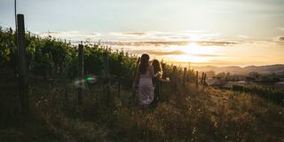 Two figures walk hand in hand through a vineyard at sunset, with lush vines surrounding them and a serene landscape in the distance.