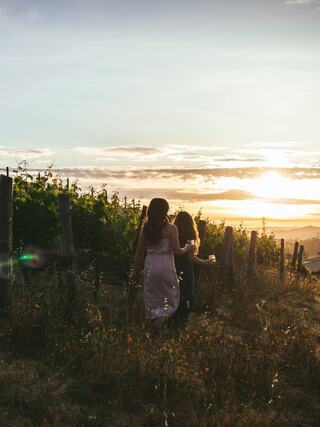 Two women walk hand-in-hand through a vineyard at sunset, surrounded by lush greenery and a serene, golden sky.