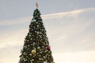 A beautifully decorated Christmas tree adorned with colorful ornaments, shimmering lights, and a golden star on top against a pastel sky.