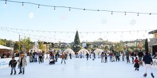A lively ice skating rink with families and children enjoying the ice, festive decorations, a large Christmas tree, and holiday lights.