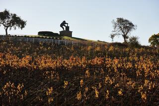 A hill covered in autumn vines leads up to a striking statue, framed by trees under a clear sky, capturing a serene vineyard landscape.