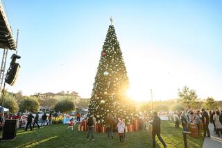 A sparkling Christmas tree stands tall in a festive gathering, with people enjoying the celebration under a bright, sunny sky.