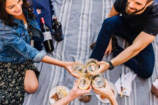Friends are enjoying a picnic, toasting with glasses, surrounded by wine bottles and snacks on a cozy blanket. Laughter and smiles abound.