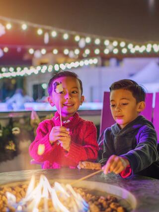Two young boys joyfully roast marshmallows over a cozy fire pit, surrounded by festive lights, creating a warm and cheerful atmosphere.