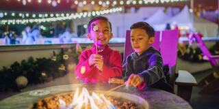 Two cheerful boys roast marshmallows over a fire pit, surrounded by festive lights and holiday decorations, enjoying a cozy evening together.
