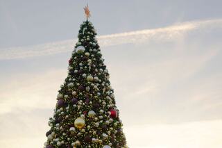 A tall Christmas tree adorned with colorful ornaments and a star on top, set against a soft, cloudy sky.