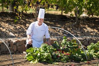 A smiling chef in a white uniform and hat tends to vibrant greens in a sunny garden, surrounded by lush plants and a serene outdoor setting.