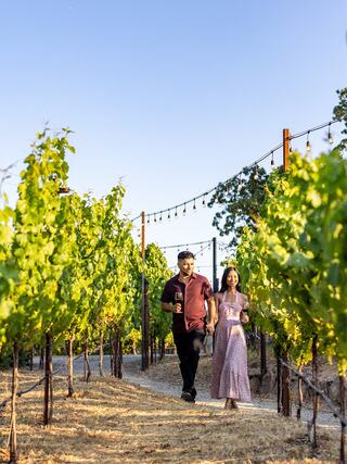 A couple strolls through a vineyard, surrounded by lush green vines, enjoying drinks amidst a serene, sunny atmosphere.