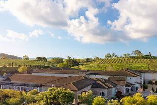 A scenic vineyard landscape features lush green hills, neatly arranged grapevines, and a charming winery building beneath a bright sky.