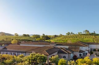 A sweeping view of a vineyard estate with lush grape fields and a charming building under a clear blue sky, surrounded by greenery.