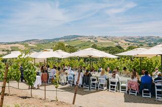 A long dining table in a vineyard, with guests enjoying a meal under umbrellas, surrounded by lush hills and a clear blue sky.