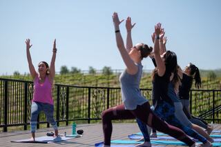 A group of women practice yoga outdoors, stretching in various poses on mats with a scenic vineyard backdrop under a clear blue sky.
