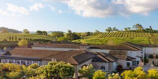 A picturesque vineyard estate, featuring lush green hills, neatly arranged grape rows, and a charming stone building under a bright sky.