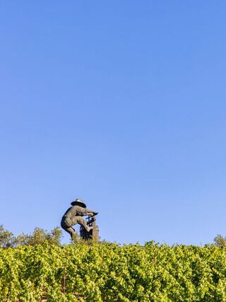 A metal sculpture of a farmer tending to vines, set against a clear blue sky and lush green vineyard rows.