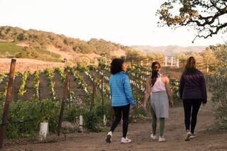 Three women walk along a dirt path through a vineyard at sunset, surrounded by rolling hills and rows of grapevines.