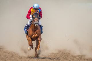 A jockey in vivid attire rides a galloping horse, kicking up dust in an intense moment of a race, showcasing speed and determination.
