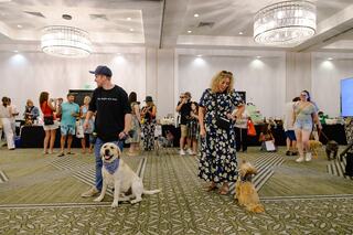 A lively gathering features people mingling with their dogs, showcasing various activities and interactions in a spacious venue.