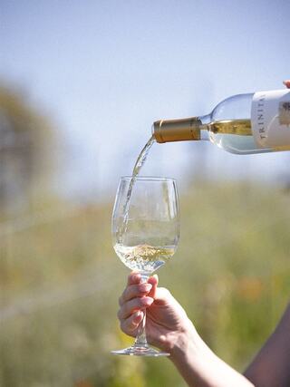 A hand pours white wine from a bottle into a clear glass, set against a sunny vineyard backdrop.